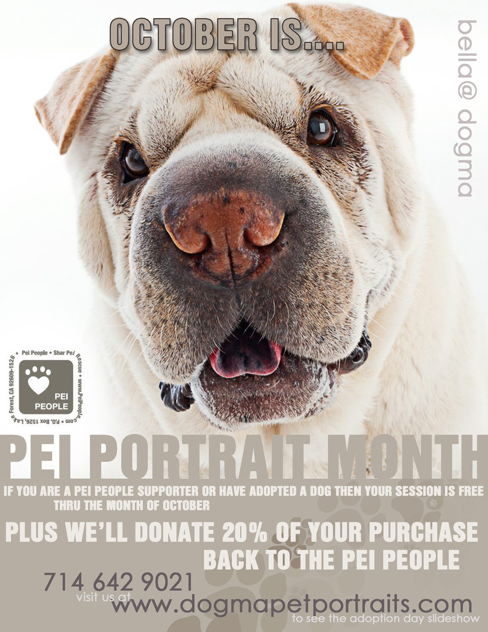 sharpei-pet-portrait-month-flyer