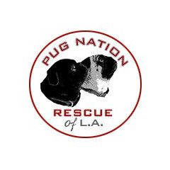 Pug-Nation-Rescue-of-Los-Angeles
