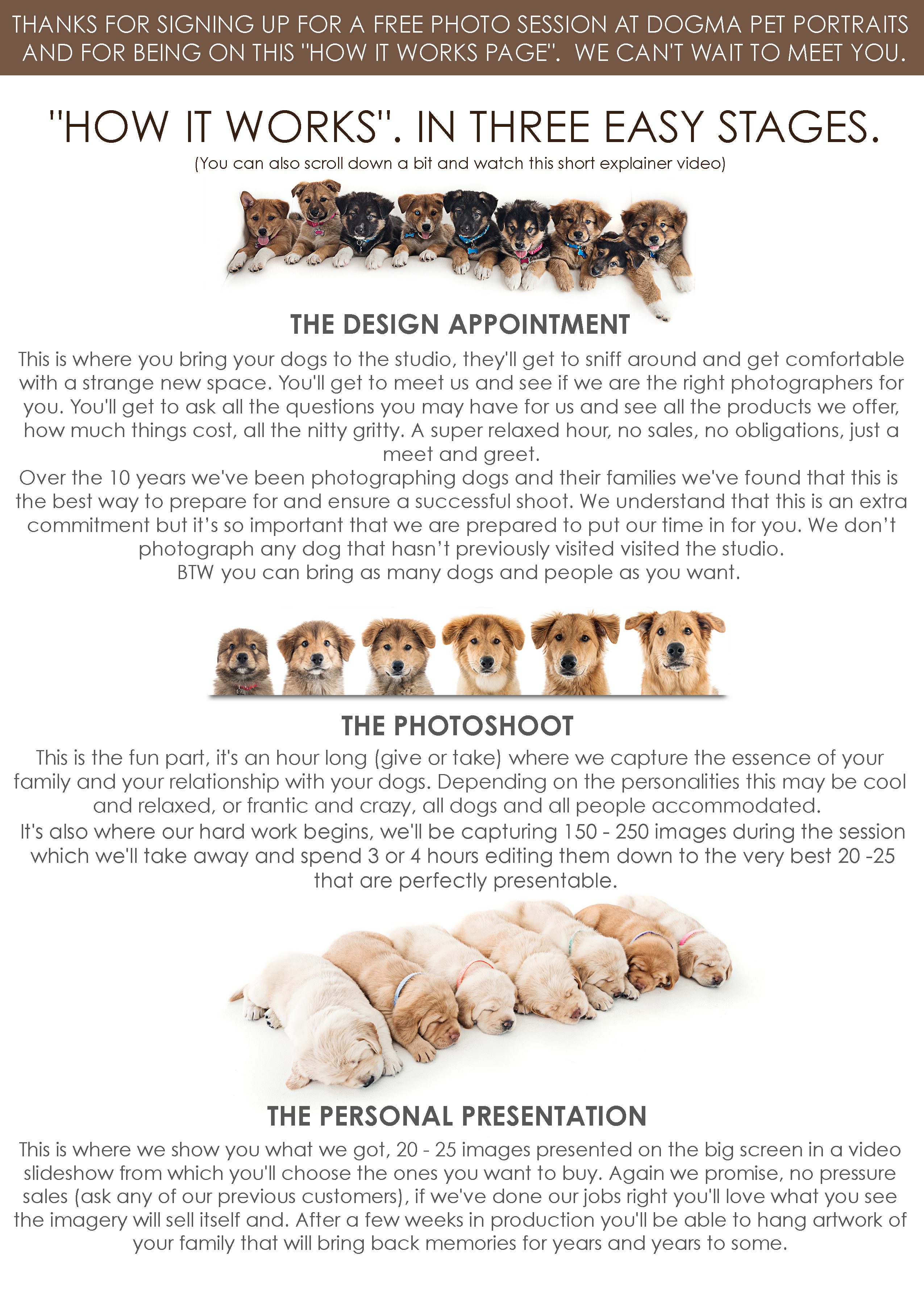 HOW IT WORKS Dogma Pet Portraits Orange County's Voted Best Pet