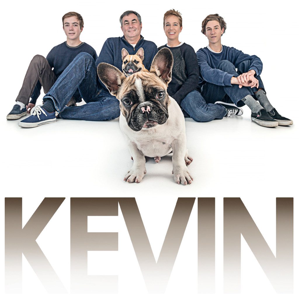 kevin the french bulldog and his family