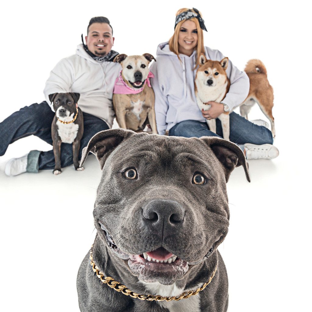 pitbull and his family
