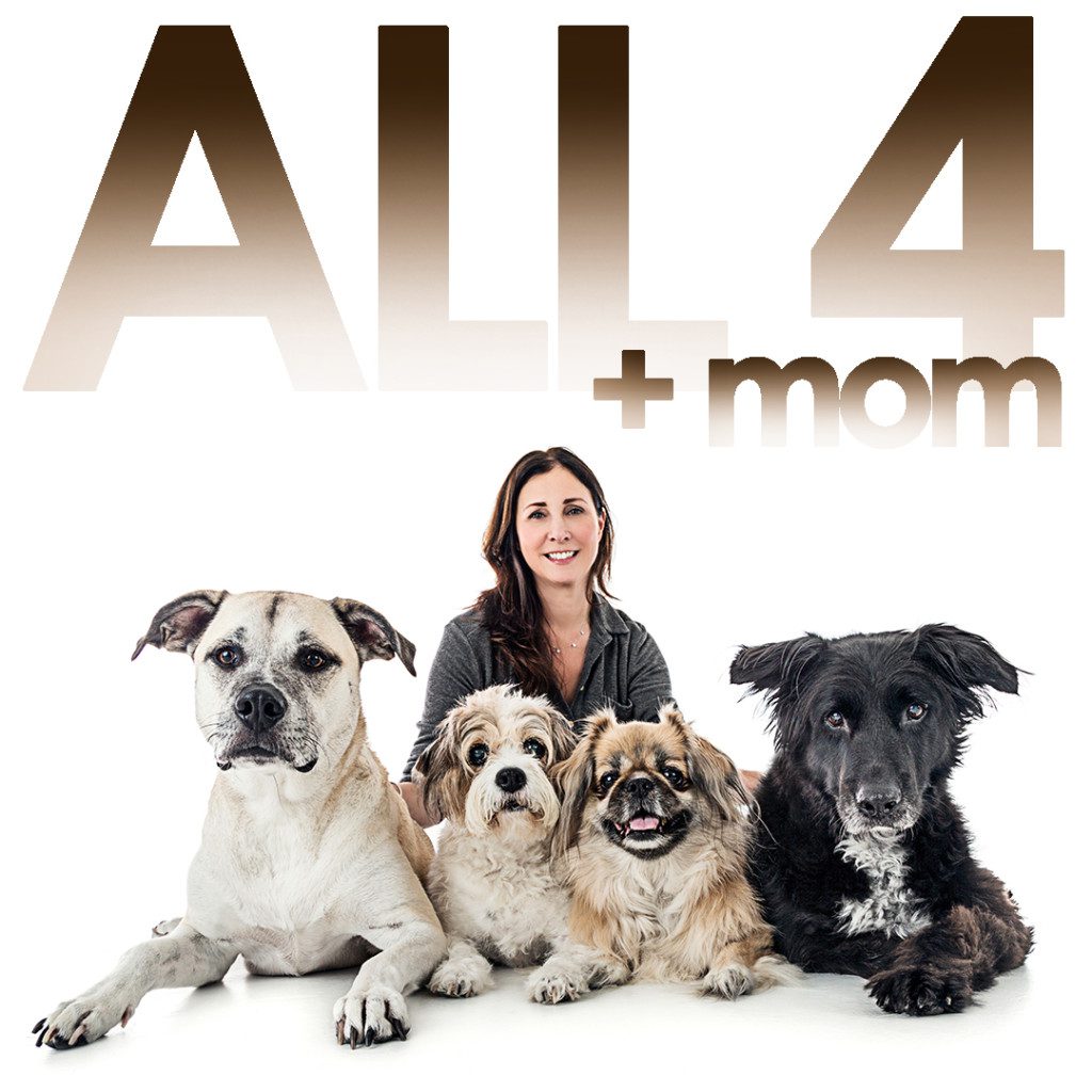 all 4 misc pups and mom