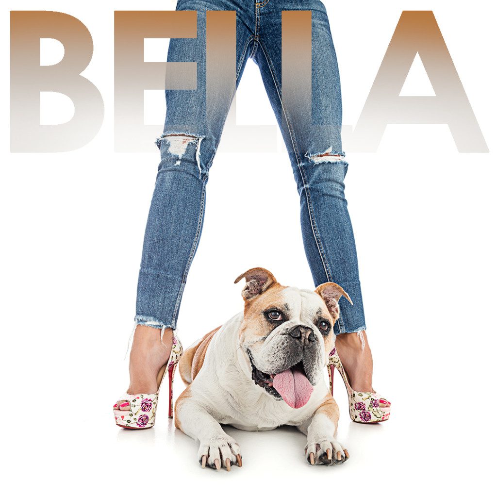 bella the bulldog with her moms legs