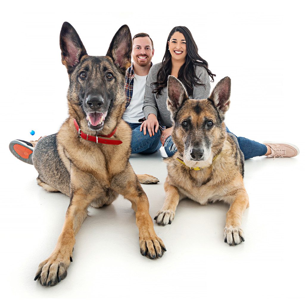 zoe and gemma the german shepherds with their parents