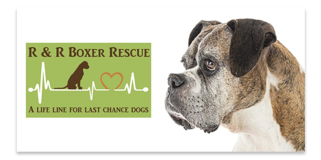 r and r boxer rescue