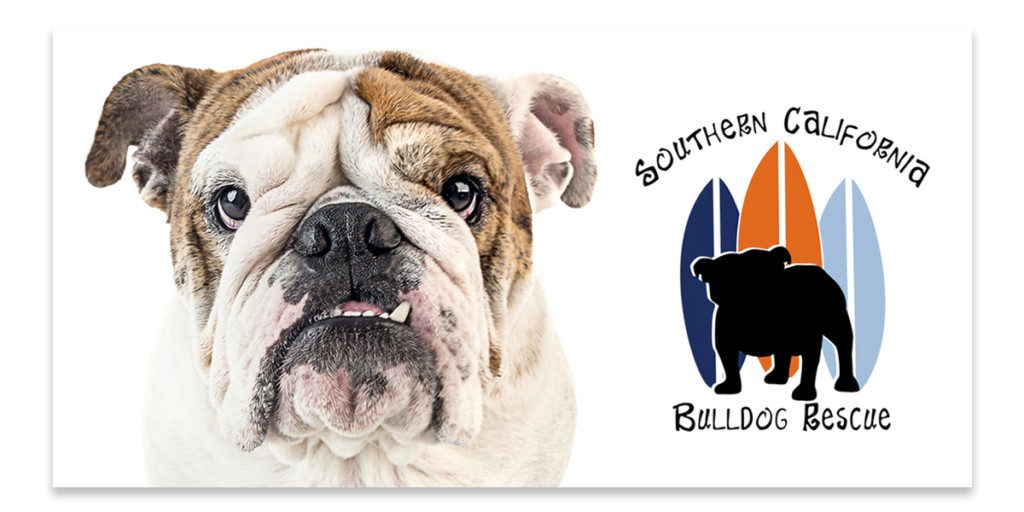 socal bulldog rescue