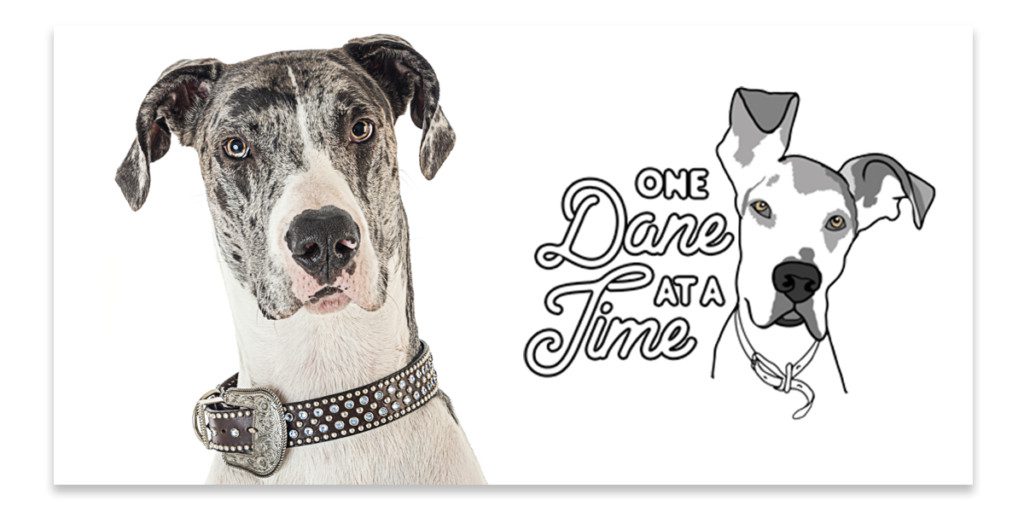 one dane at a time rescue