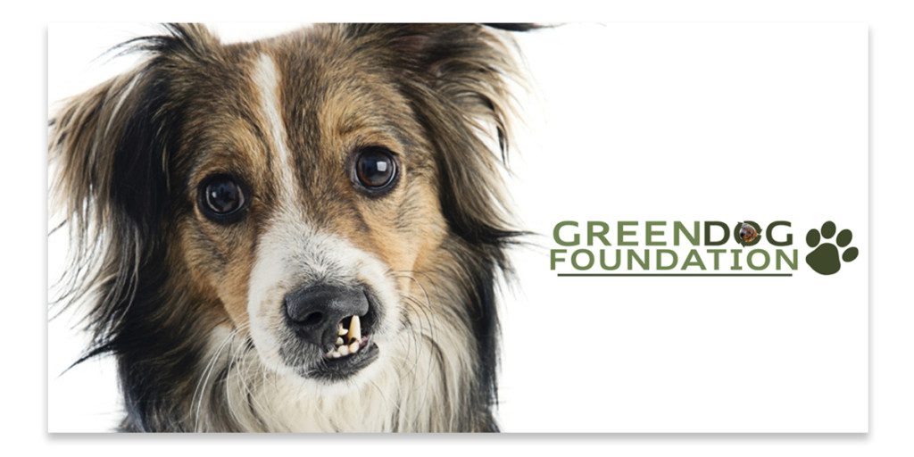 greendog rescue