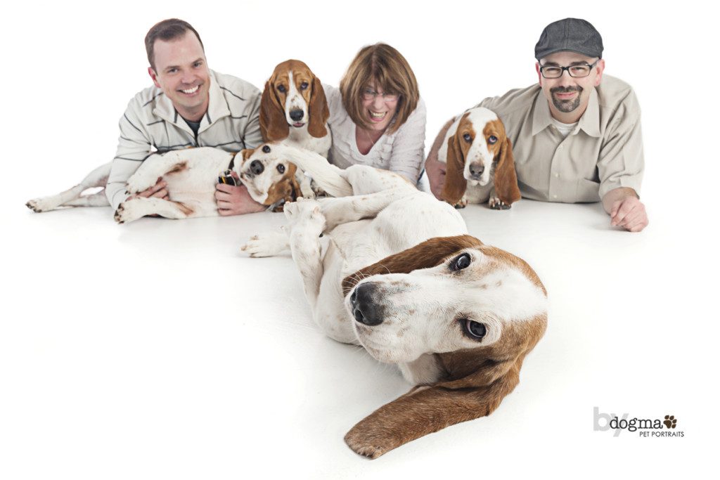 4 basset hounds and their family in a portrait