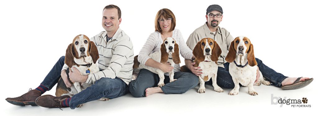 4 basset hounds with their humans on a couch