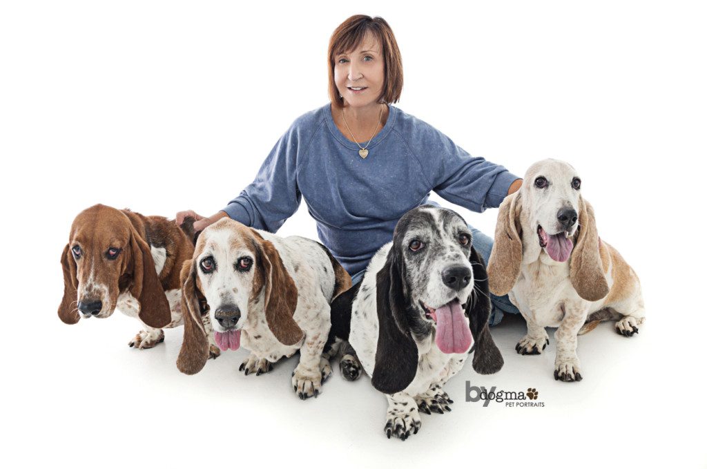 4 basset hounds with their owner