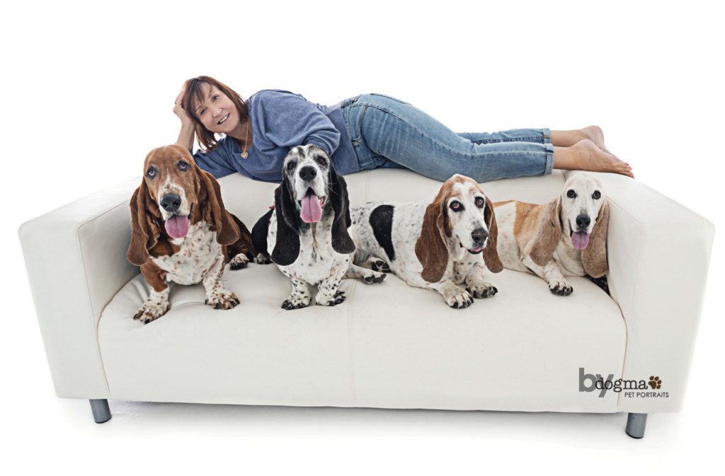 lady reclining on the back of a couch containing 4 basset hounds
