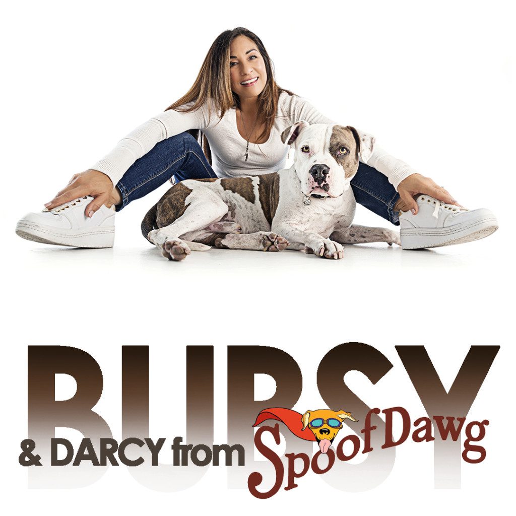 BUBSY THE PITBULL RESCUE WITH DARCY FROM SPOOFDAWG